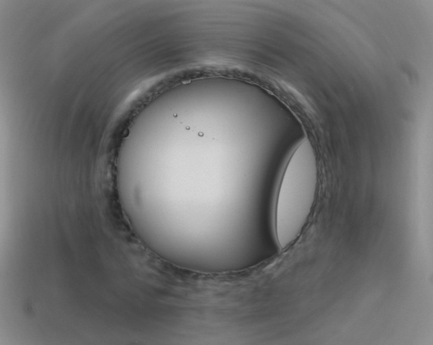 X0000114580776200910191054