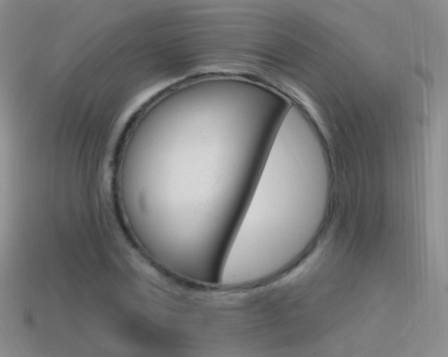 X0000114580779200910191054