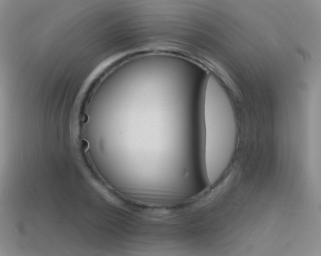X0000114580784200910191053