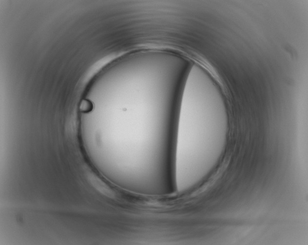 X0000114580787200910191053