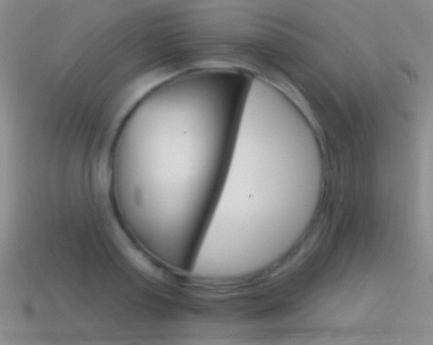 X0000114580795200910191053
