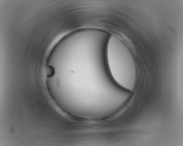 X0000114580796200910191053