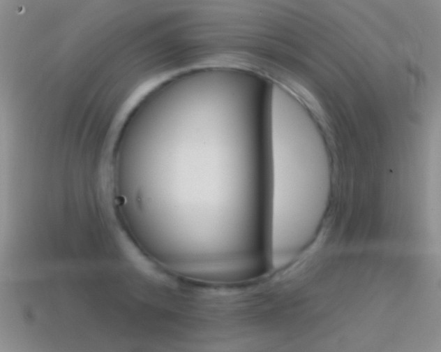 X0000114580800200910191053