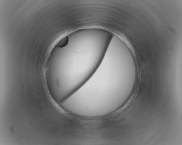 X0000114580805200910191053