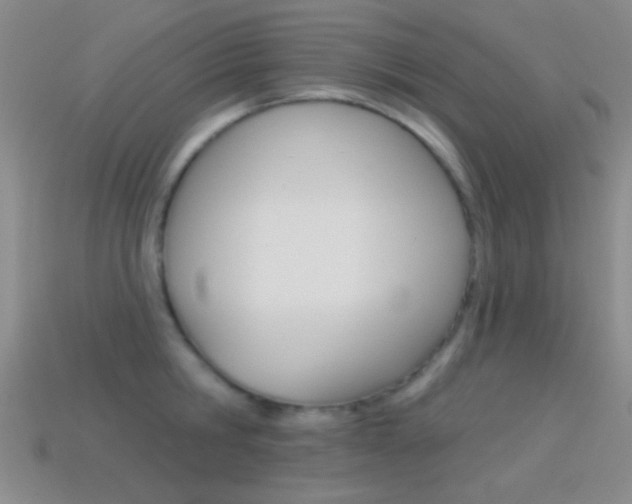X0000114580806200910191053