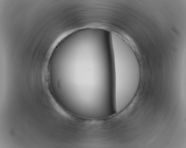 X0000114580808200910191053