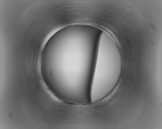 X0000114580812200910191053