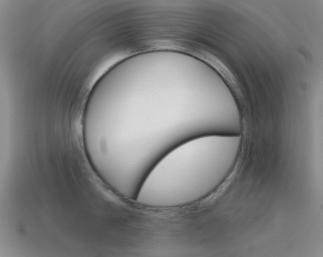 X0000114580814200910191053