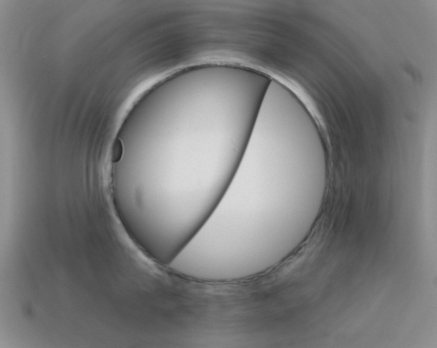 X0000114580815200910191053