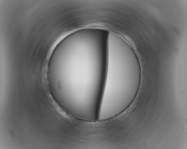 X0000114580816200910191053