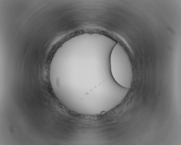 X0000114580823200910191052