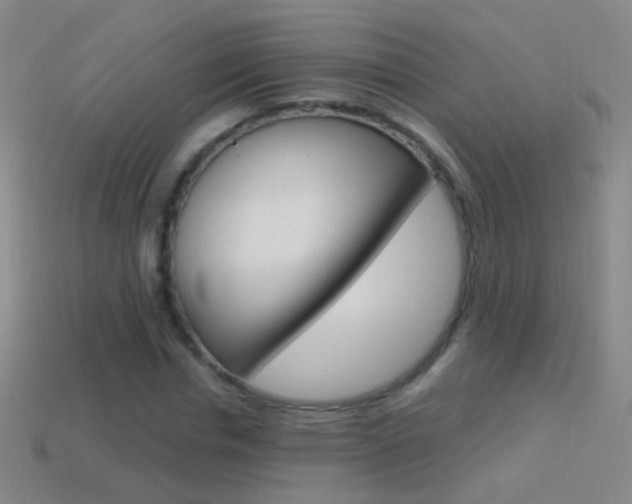 X0000114580826200910191052