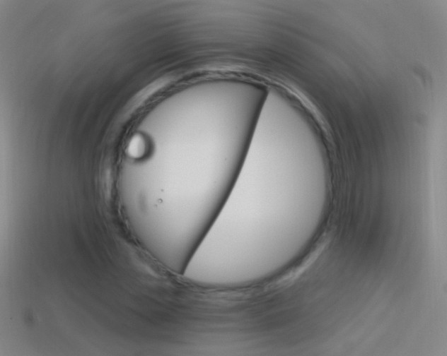 X0000114580829200910191052