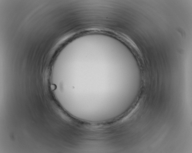 X0000114580831200910191052