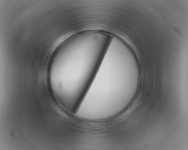 X0000114580834200910191052