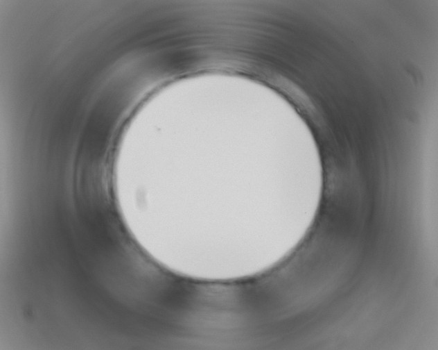 X0000114580836200910191052