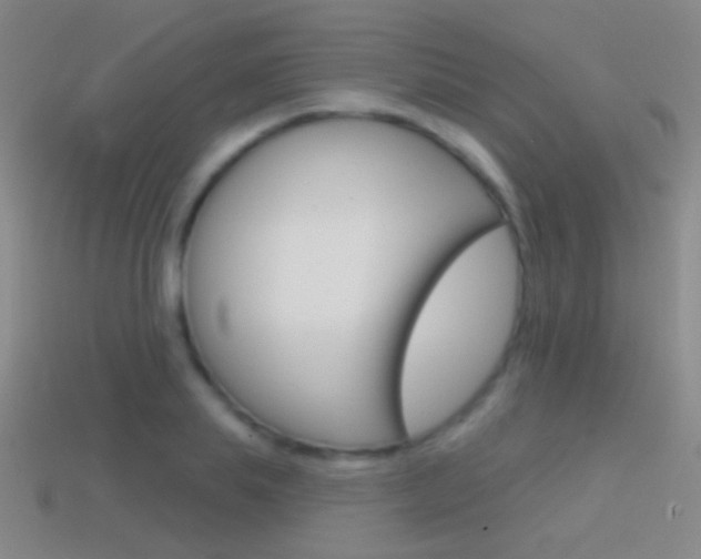 X0000114580839200910191052