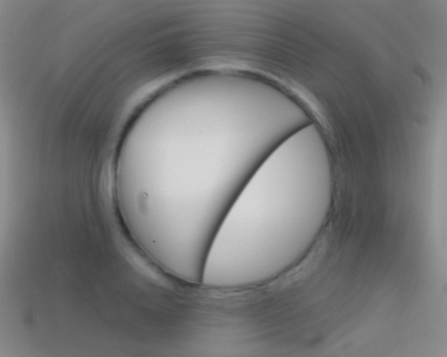 X0000114580840200910191052