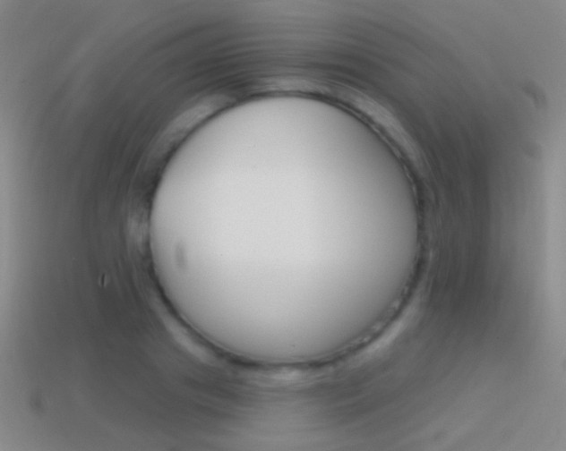 X0000114580841200910191052