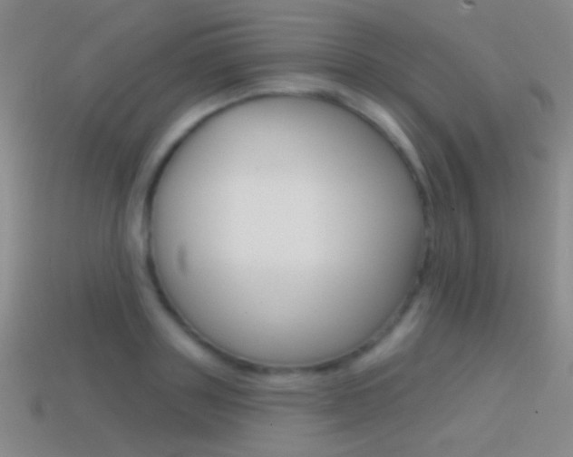 X0000114580843200910191052