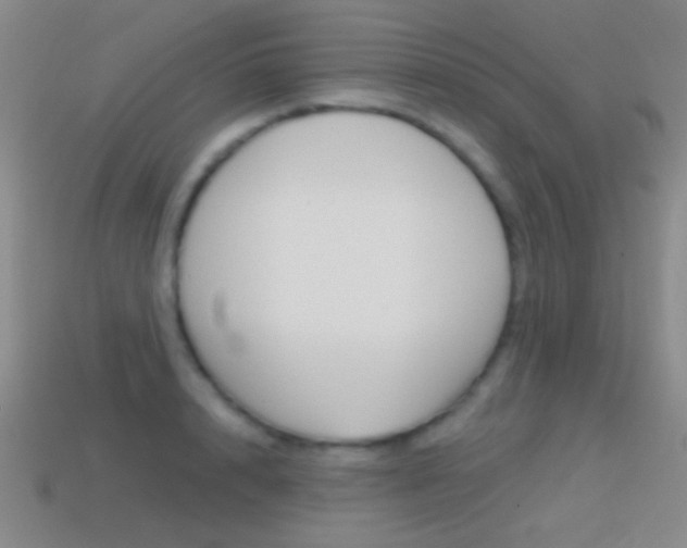 X0000114580848200910191053