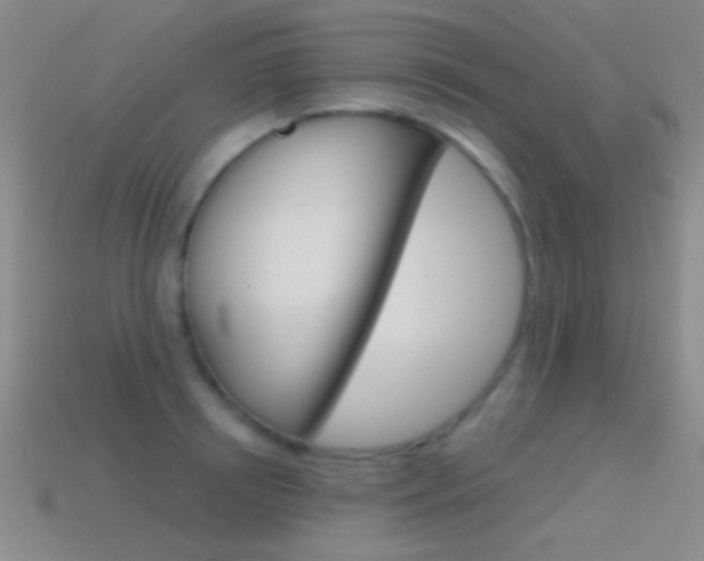X0000114580850200910191053