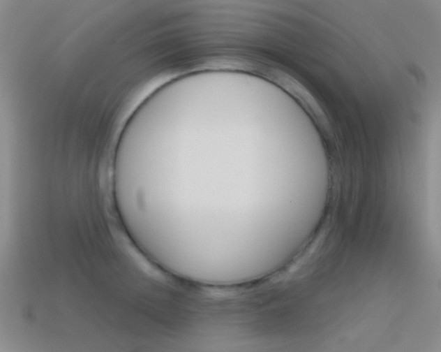 X0000114580852200910191053