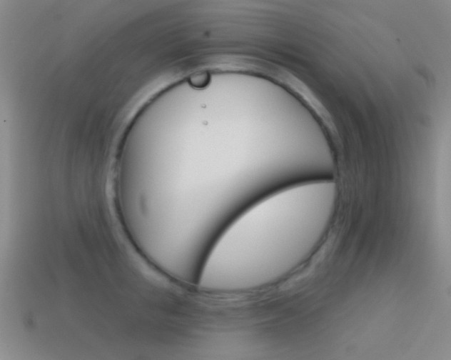 X0000114580853200910191053
