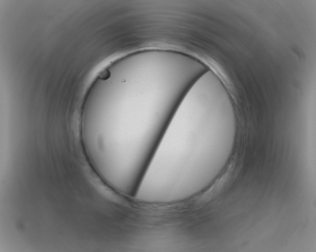 X0000114580854200910191053