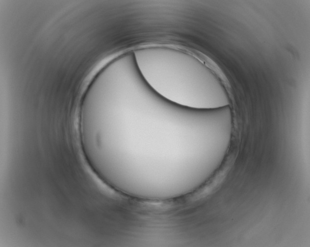 X0000114580855200910191053