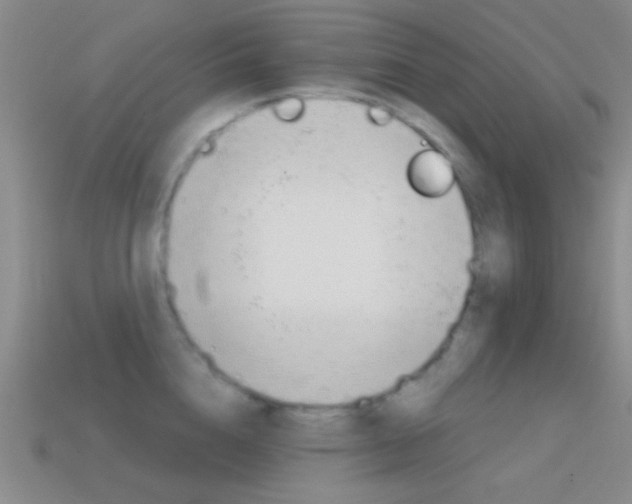 X0000114580856200910191053