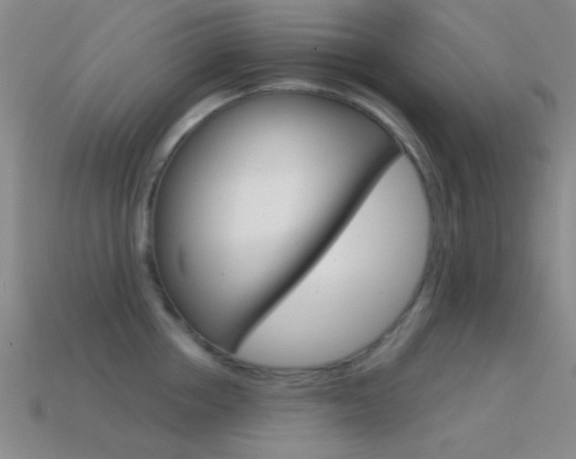 X0000114580858200910191053