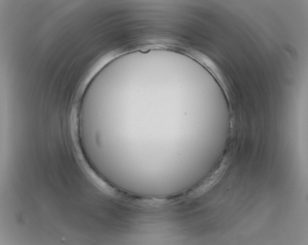 X0000114580859200910191053