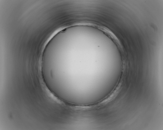X0000114580860200910191053