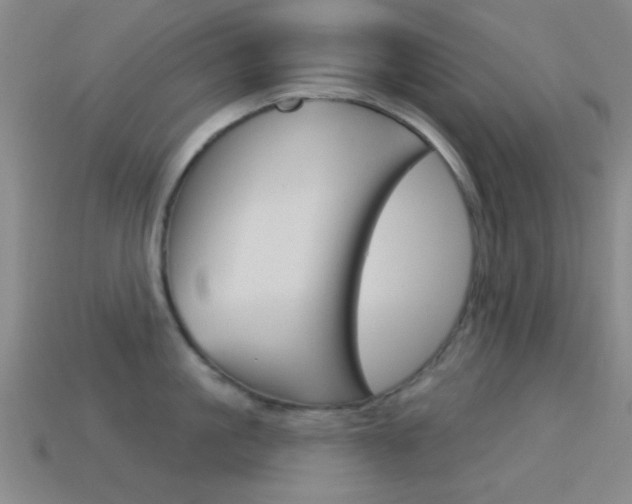 X0000114580861200910191053