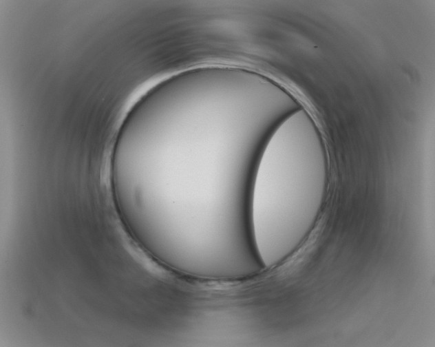 X0000114580862200910191053