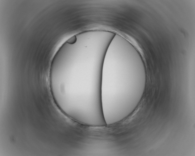 X0000114580863200910191053