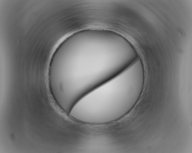 X0000114580864200910191053