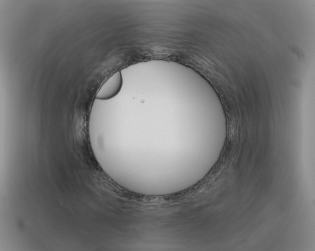 X0000114580866200910191052
