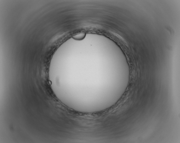 X0000114580869200910191052