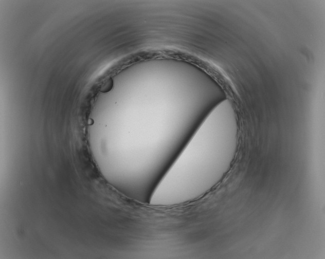 X0000114580871200910191052