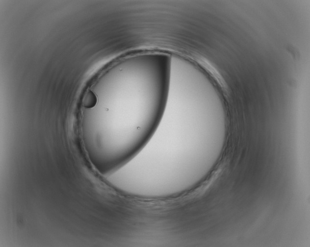 X0000114580876200910191052