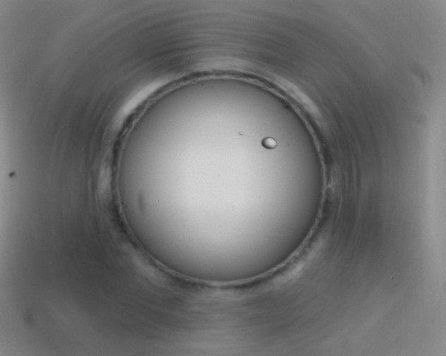X0000114580877200910191052