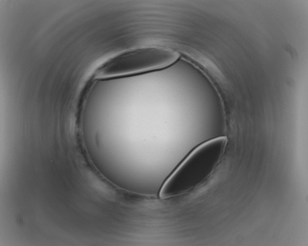 X0000114580880200910191052