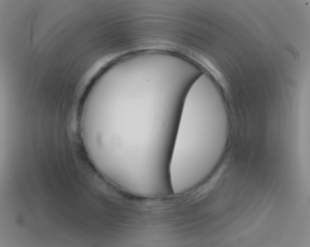 X0000114580883200910191052