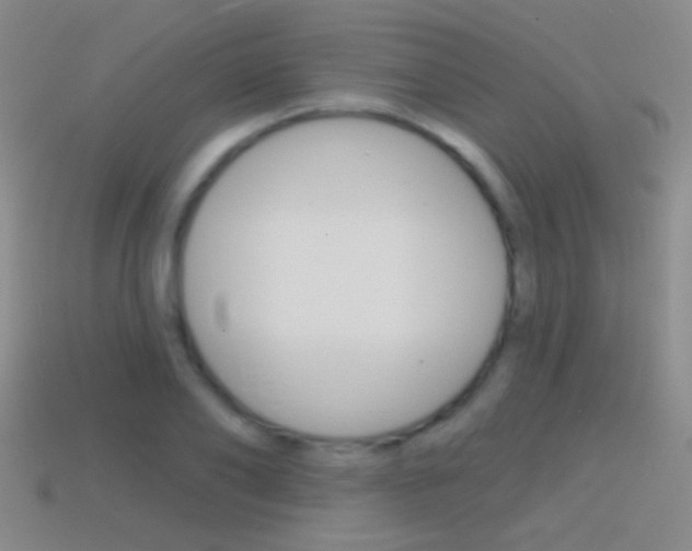 X0000114580886200910191052