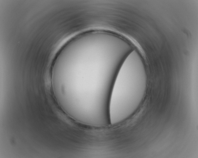 X0000114580887200910191052