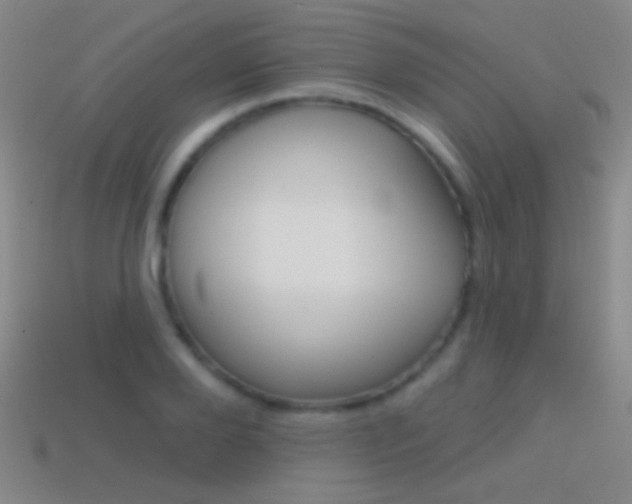 X0000114580888200910191052