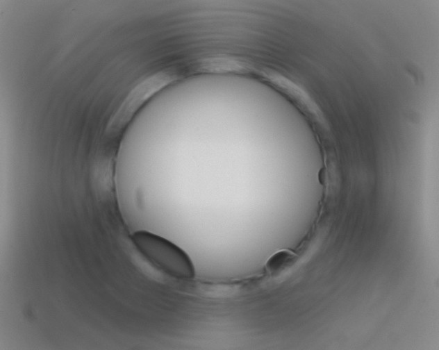 X0000114580889200910191052