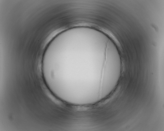 X0000114580890200910191052